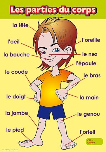 French Vocabulary Posters | General | Year 3 / Primary 4, Year 4 ...